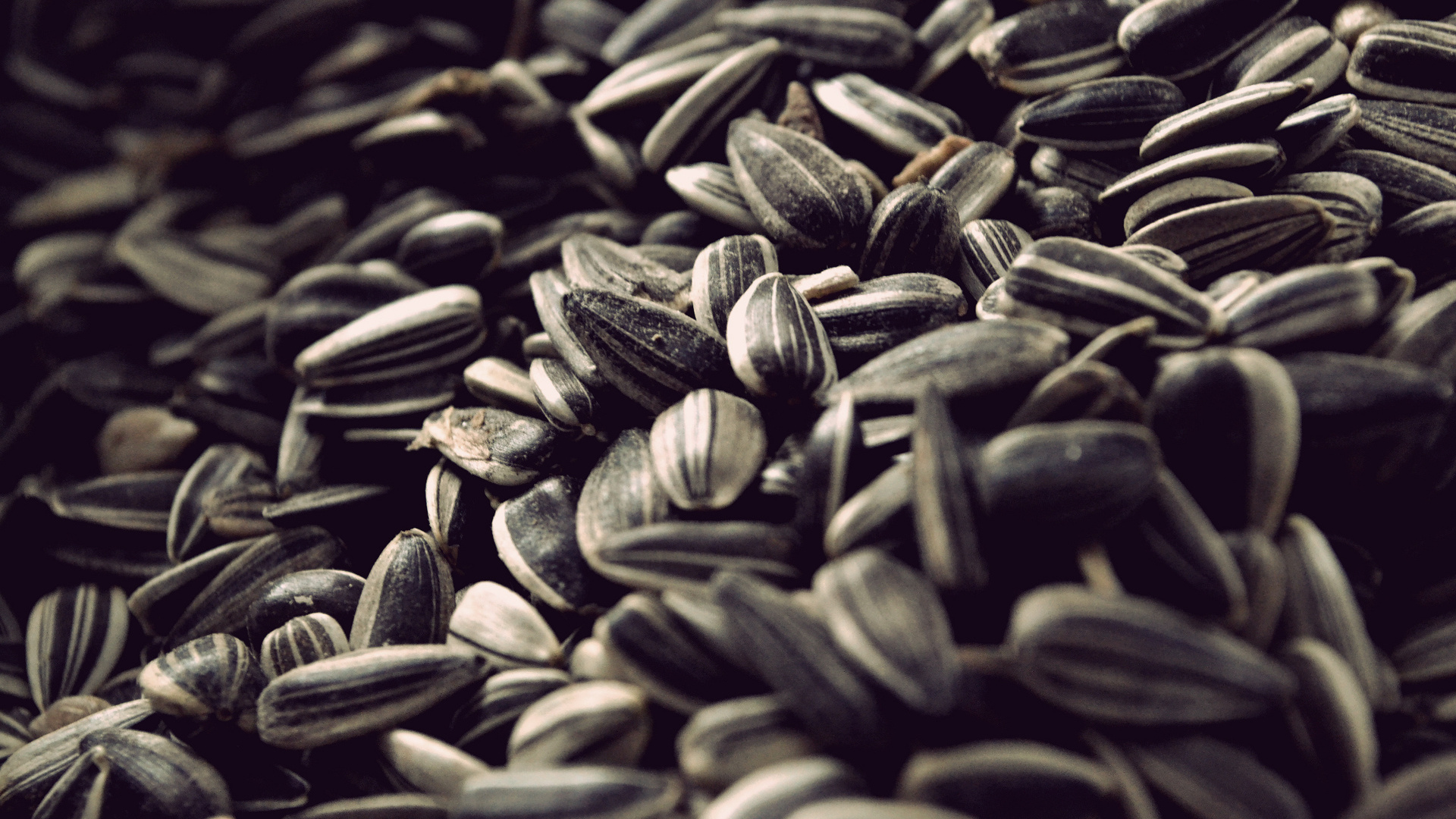 Sunflower seeds