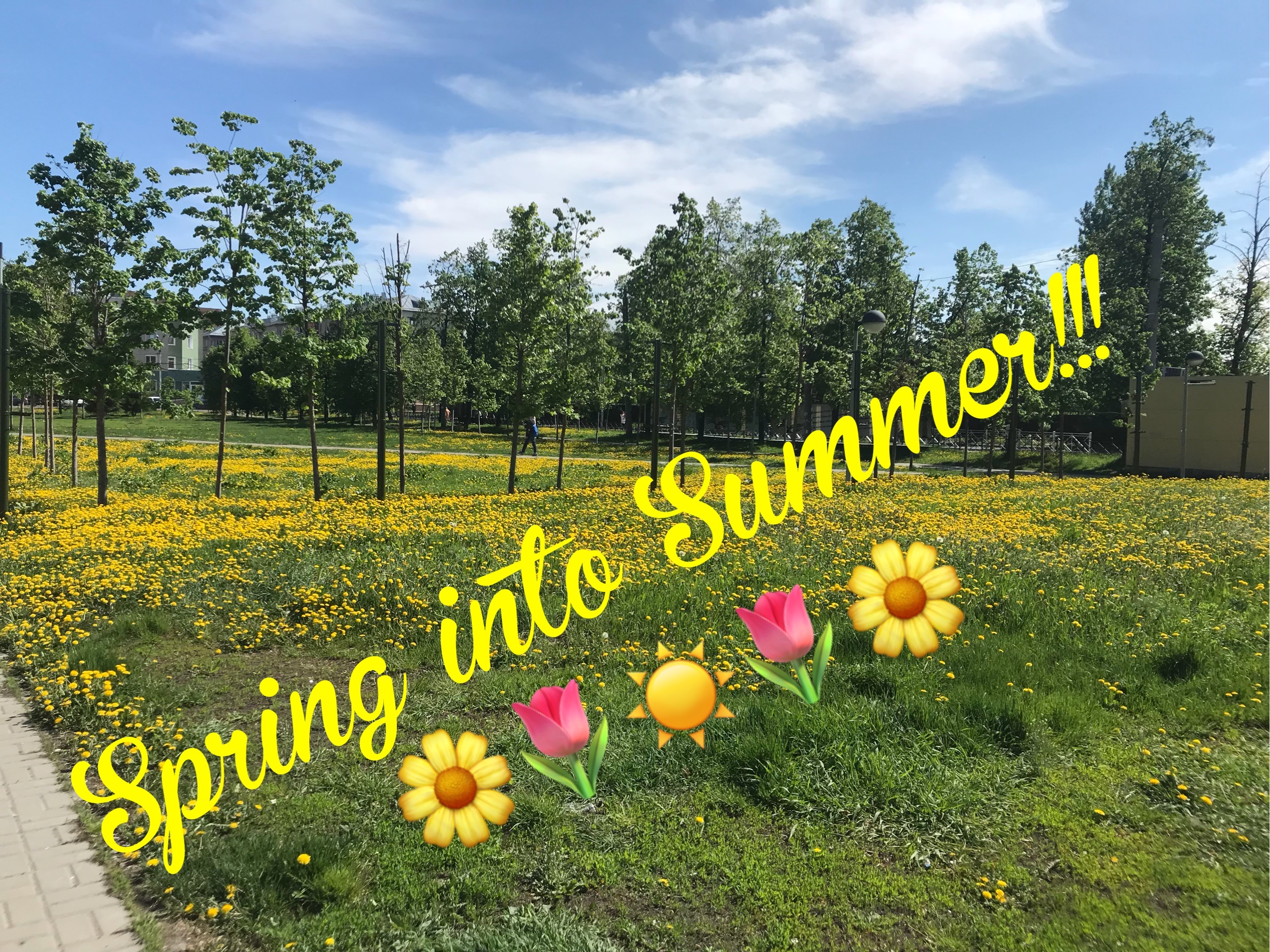 Spring into summer